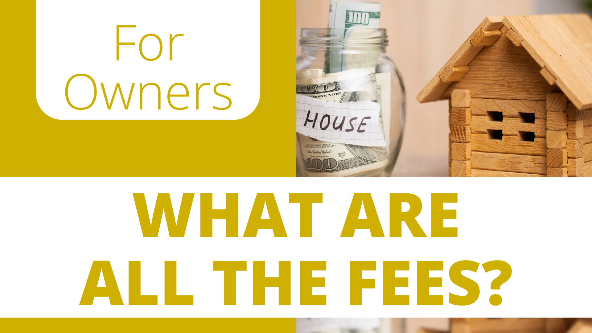 Read more about the article What Are All the Fees?
