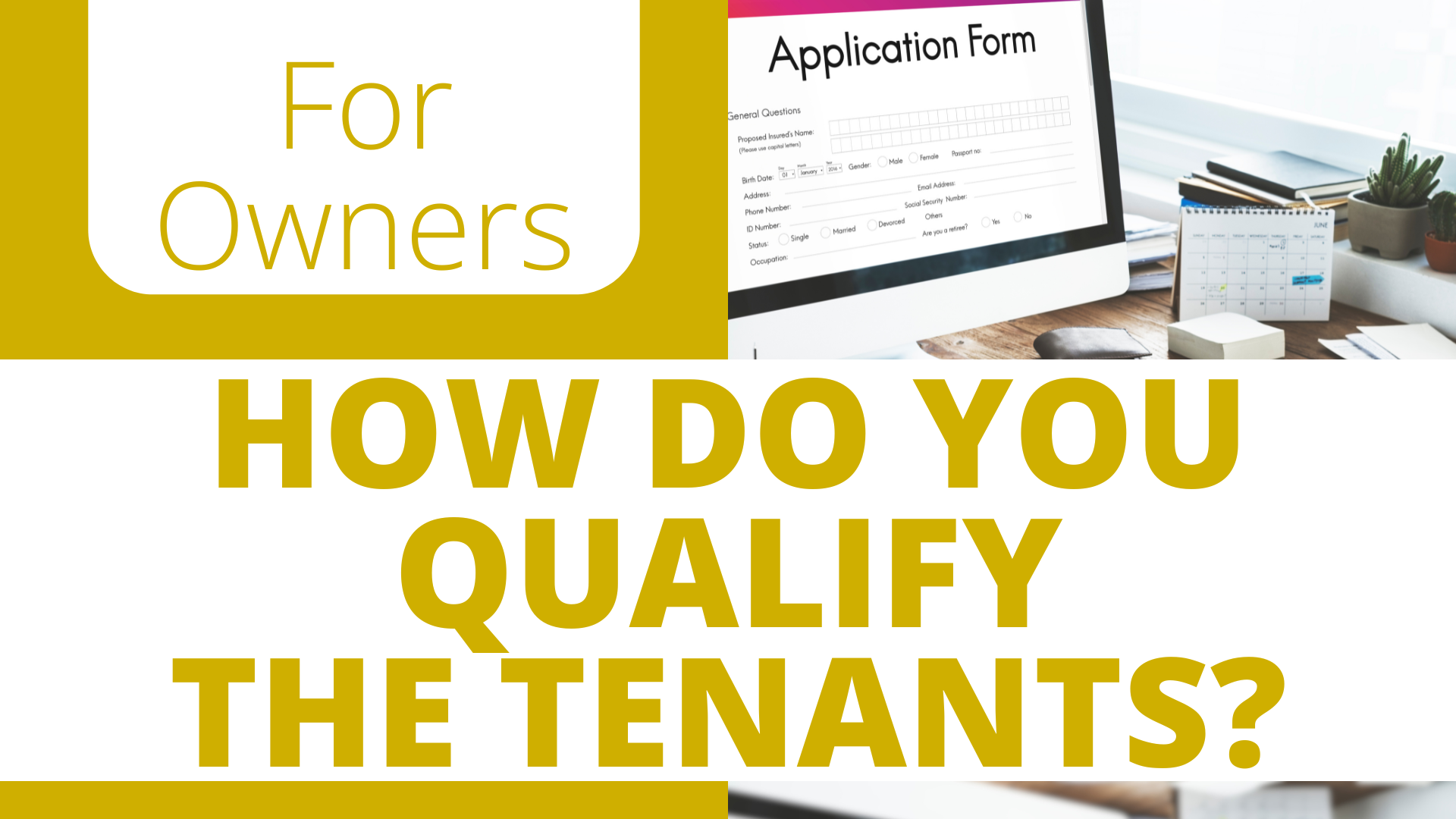 Read more about the article How Do You Qualify the Tenant?
